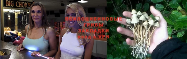 МДПВ Осинники