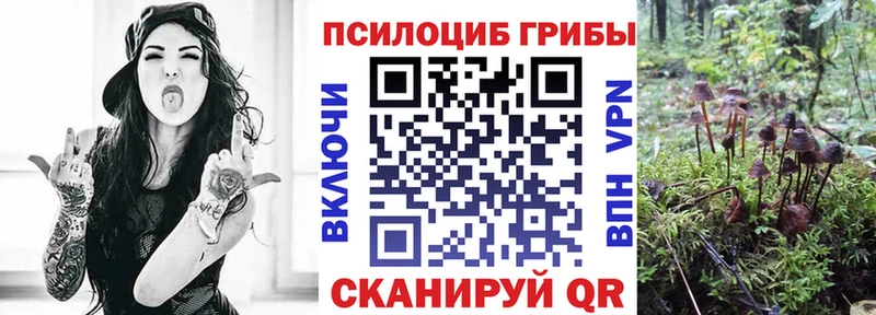 omg ТОР  Спасск-Рязанский  Псилоцибиновые грибы мухоморы 